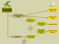 Proceso de obtención de los distintos tipos de aceite
